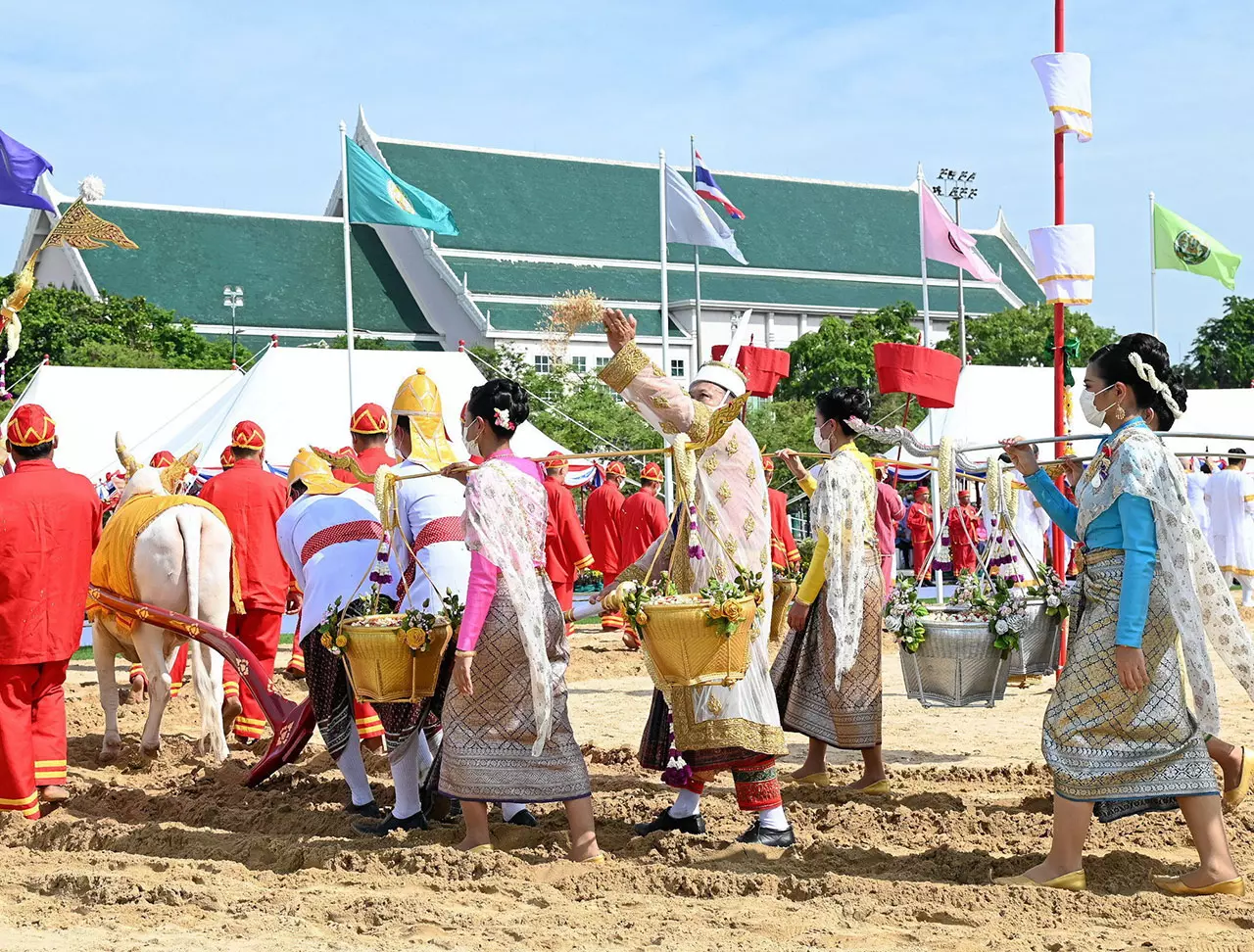 เศรษฐกิจรุ่งเรือง! ธัญญาหารสมบูรณ์-น้ำท่าดี ผลเสี่ยงทายพิธีแรกนาขวัญ