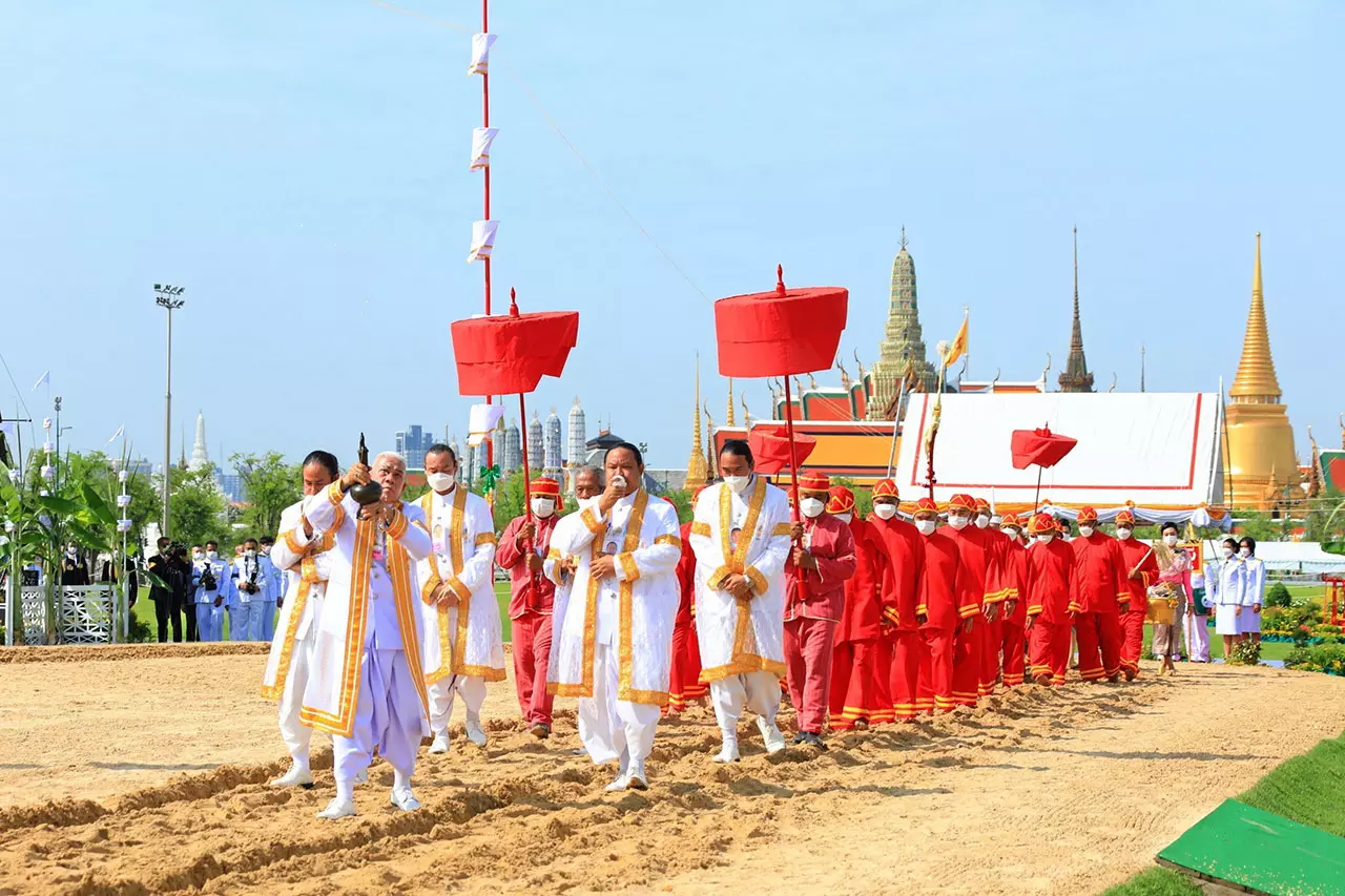 เศรษฐกิจรุ่งเรือง! ธัญญาหารสมบูรณ์-น้ำท่าดี ผลเสี่ยงทายพิธีแรกนาขวัญ