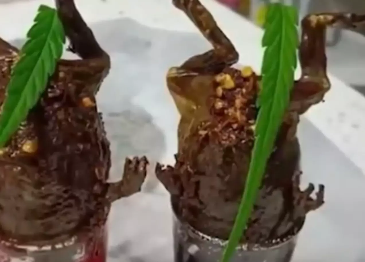 เปิบ "อึ่งชอต" ระวังหนอนพยาธิทางเดินอาหาร ต้องปรุงให้สุกร้อนทั้งตัว