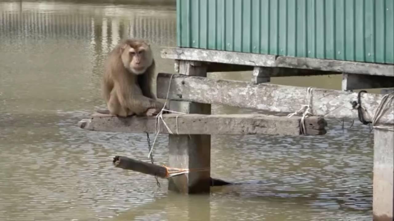 This image is not belong to us