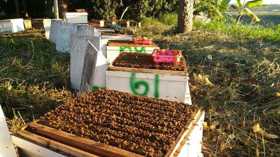 This image is not belong to us