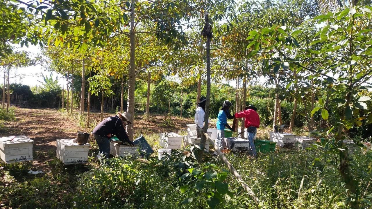 This image is not belong to us