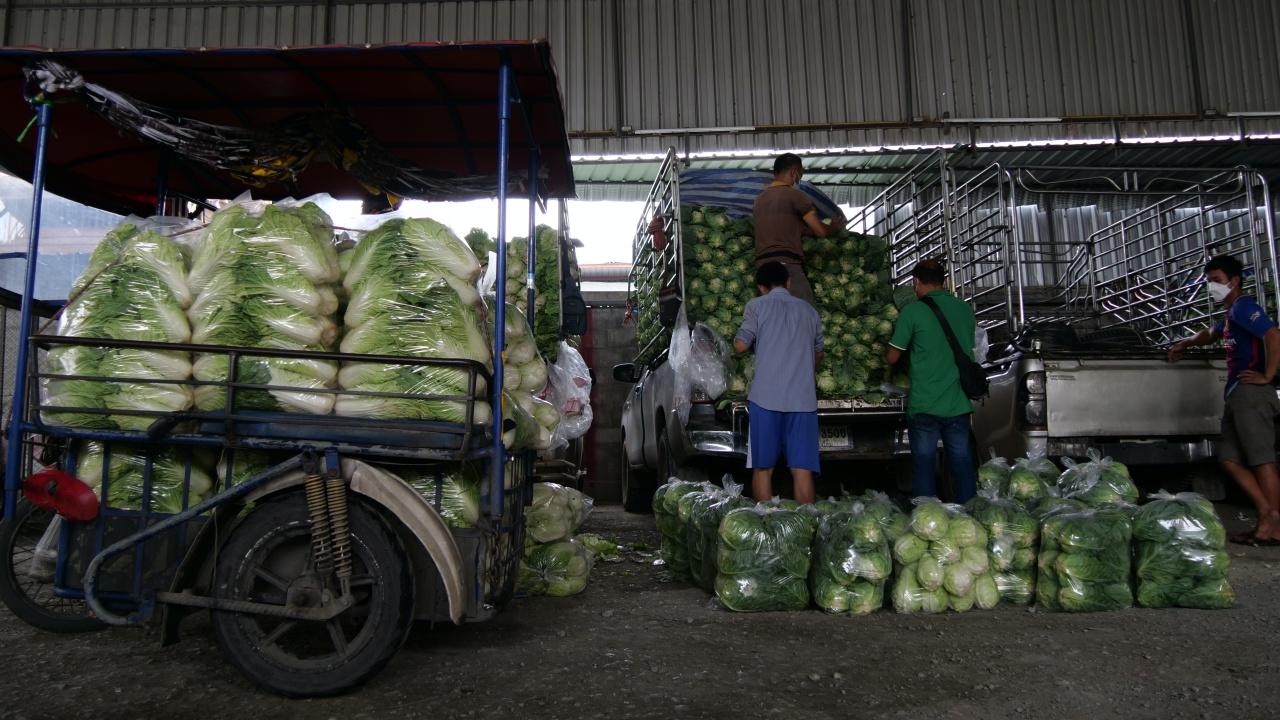 สู้จนถึงที่สุด ชาวตลาดจัดรถเข็นผัก  บริการส่งถึงรถแม่ค้า เพื่อลดความแออัด