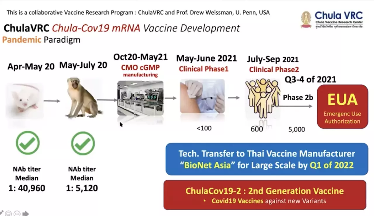 ใกล้ความจริง! คืบหน้าวัคซีน mRNA จุฬาฯ เก็บรักษาง่ายกว่า ไฟเซอร์-โมเดอร์นา