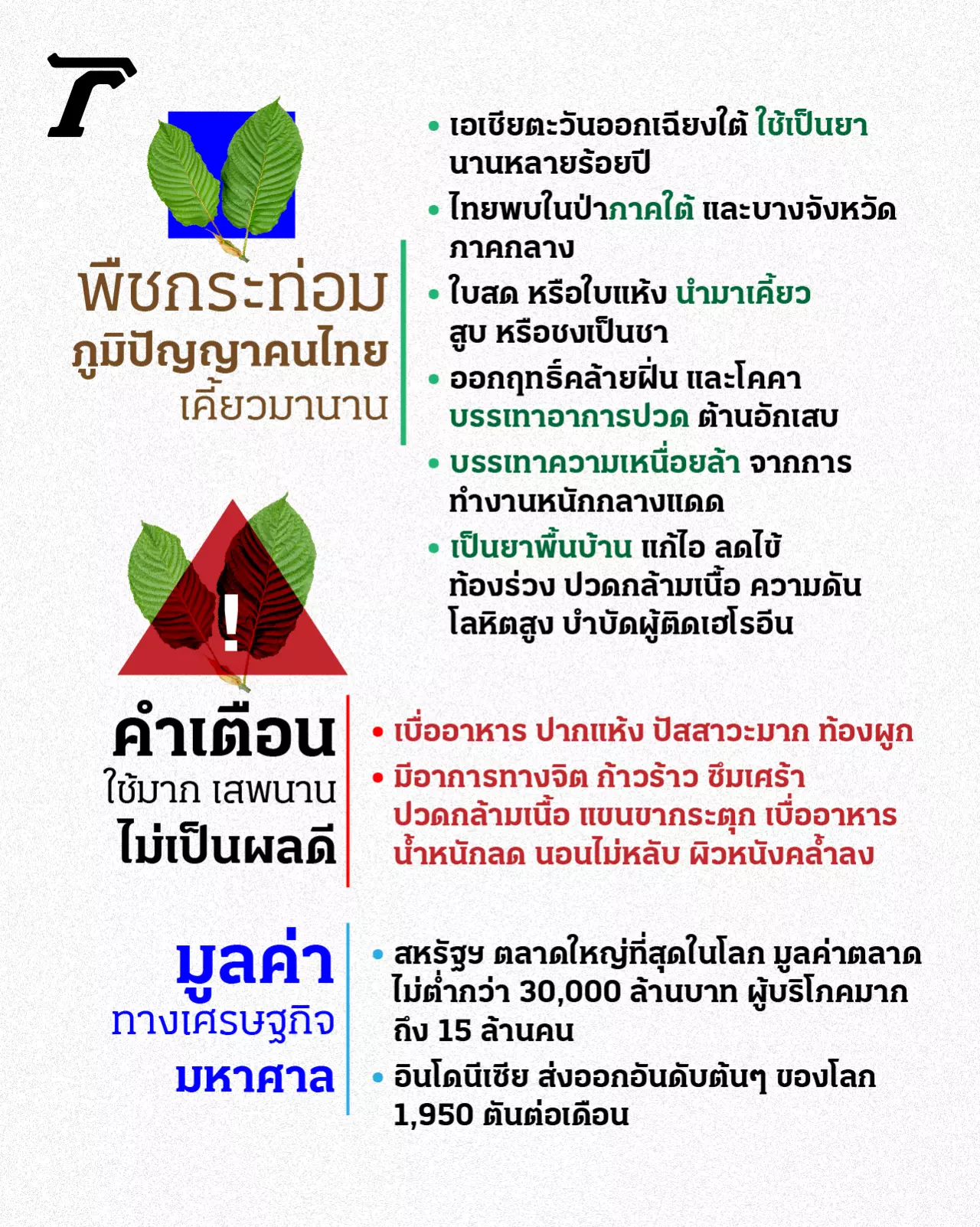 ปลดล็อกพืชกระท่อม ยาขยันพื้นบ้าน ปลูกกิน-ซื้อ-ขาย เสรี ไม่ผิดกฎหมาย