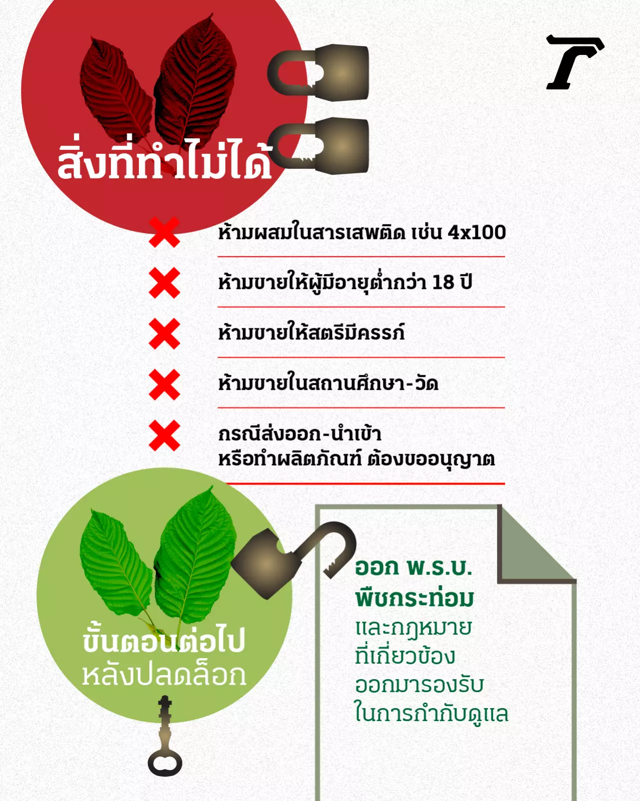 ปลดล็อกพืชกระท่อม ยาขยันพื้นบ้าน ปลูกกิน-ซื้อ-ขาย เสรี ไม่ผิดกฎหมาย