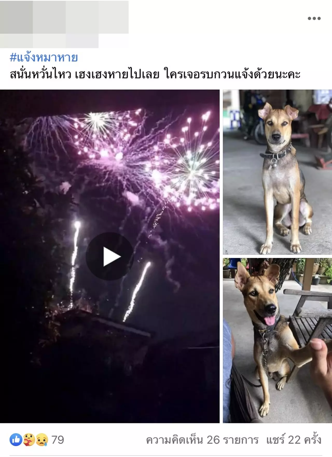 ดิว อริสรา ถูกด่าเละ แฟนหนุ่มจุดพลุเซอร์ไพรส์วันเกิดทำชาวบ้านเดือดร้อน