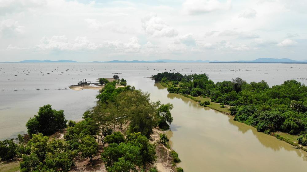 ปากบางภูมี จุดที่คลองภูมีไหลลงทะเลสาบสงขลา ในพื้นที่ อ.ควนเนียง จ.สงขลา มีความอุดมสมบูรณ์และเป็นแหล่งอาศัยของสัตว์น้ำนานาชนิด.