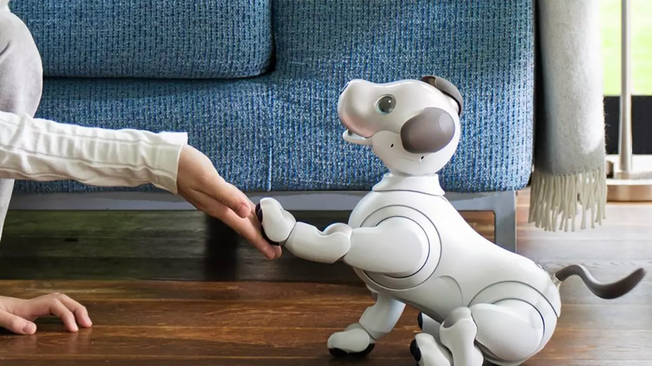 หุ่นยนต์หมา Aibo ตอบโจทย์...สังคมผู้สูงอายุ