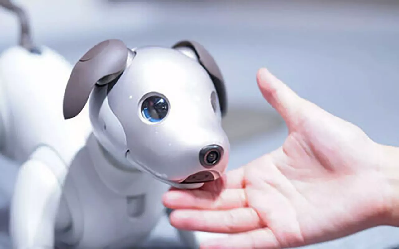 หุ่นยนต์หมา Aibo ตอบโจทย์...สังคมผู้สูงอายุ