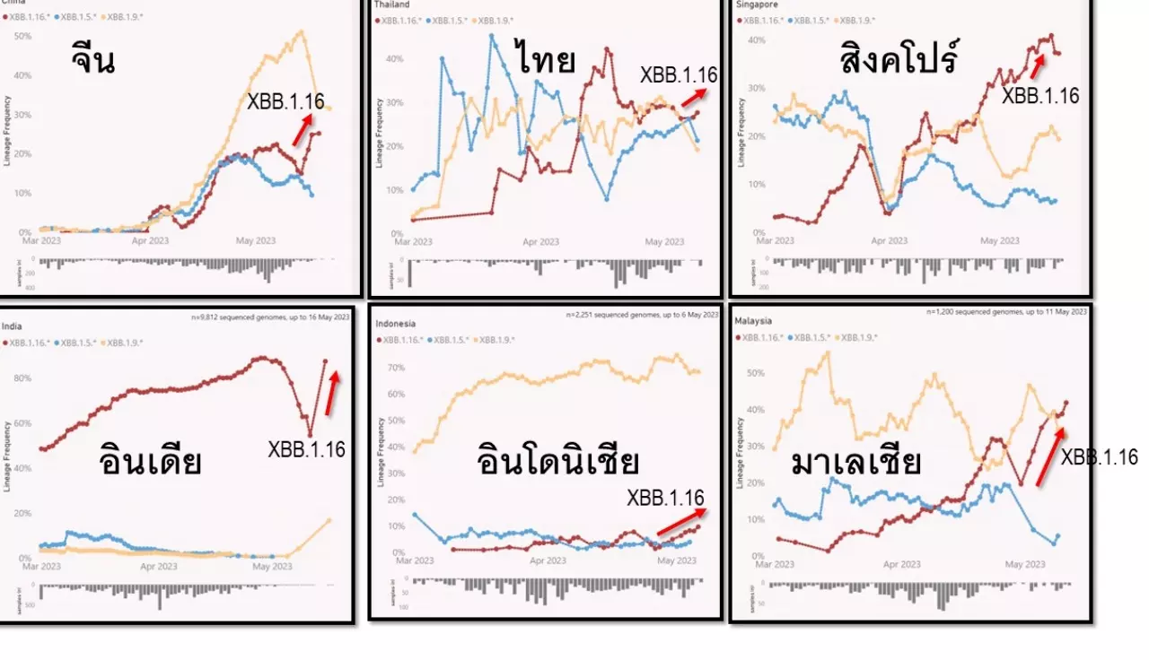 โควิดกลับมาระบาด โอมิครอนลูกผสมสายพันธุ์ย่อย แพร่เร็ว หลบภูมิคุ้มกันเก่ง