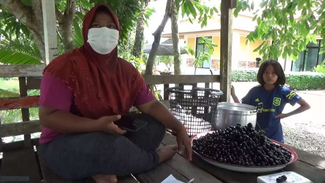 สาวสตูลเก็บลูกหว้าผลไม้บ้านๆ ขวัญใจวัยรุ่นภูธรยุค 90 ขายออนไลน์ ทำรายได้ดี