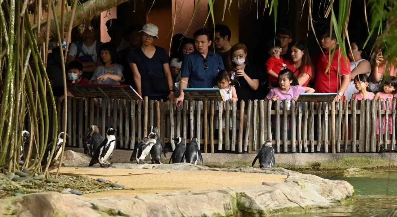 สัตว์ในสวนสัตว์ชอบให้คนมาดู เหมือนที่เราชอบไปดูสัตว์มั้ย?