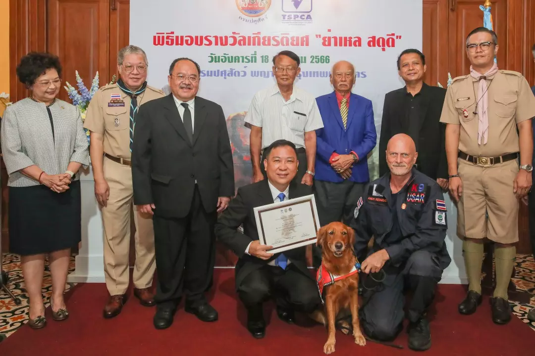 สุนัขค้นหากลางภัยพิบัติ ภารกิจเสี่ยงตายเสี้ยวนาทีชีวิต 