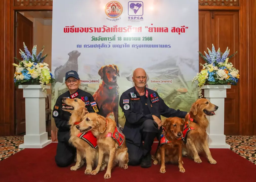 สุนัขค้นหากลางภัยพิบัติ ภารกิจเสี่ยงตายเสี้ยวนาทีชีวิต 