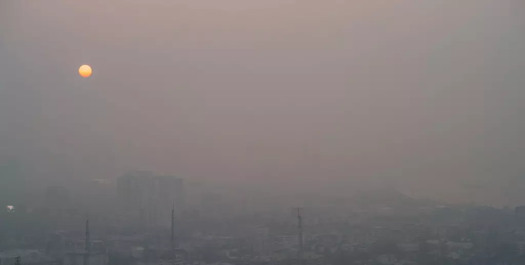 PM 2.5 กับโรคร้ายในสัตว์เลี้ยง หมา-แมว ที่อย่าชะล่าใจ