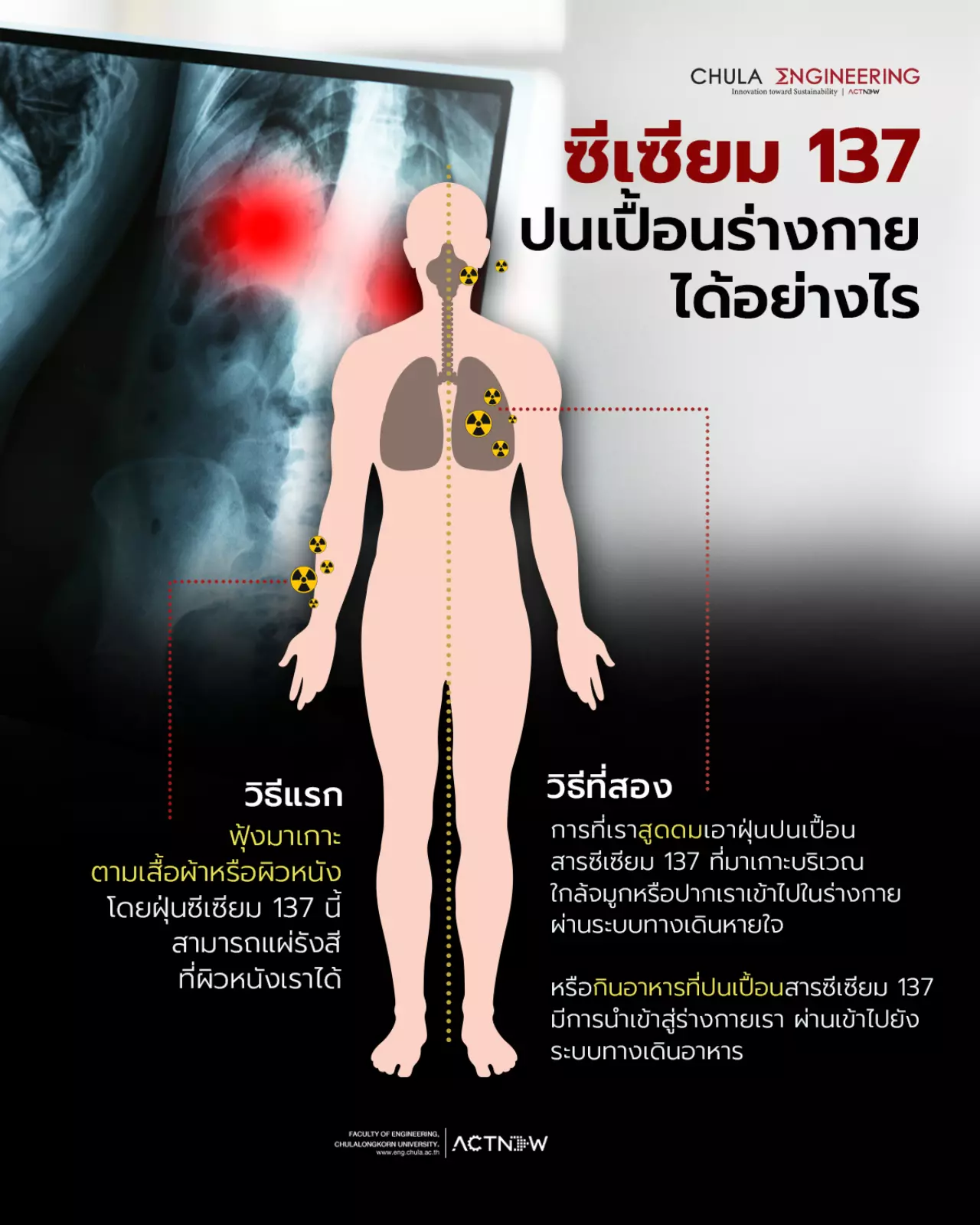 ซีเซียม-137 ปนเปื้อนเข้าสู่ร่างกายอย่างไร ขนาดไหนถึงเป็นอันตราย