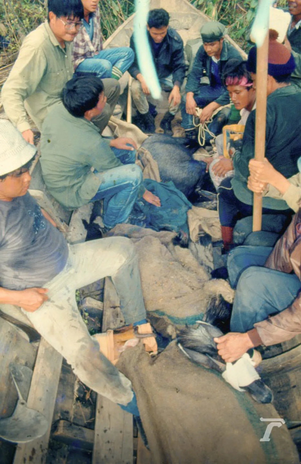 มองผ่านเลนส์ชีวิต สืบ นาคะเสถียร “ผมขอพูดในนามของสัตว์ป่า”