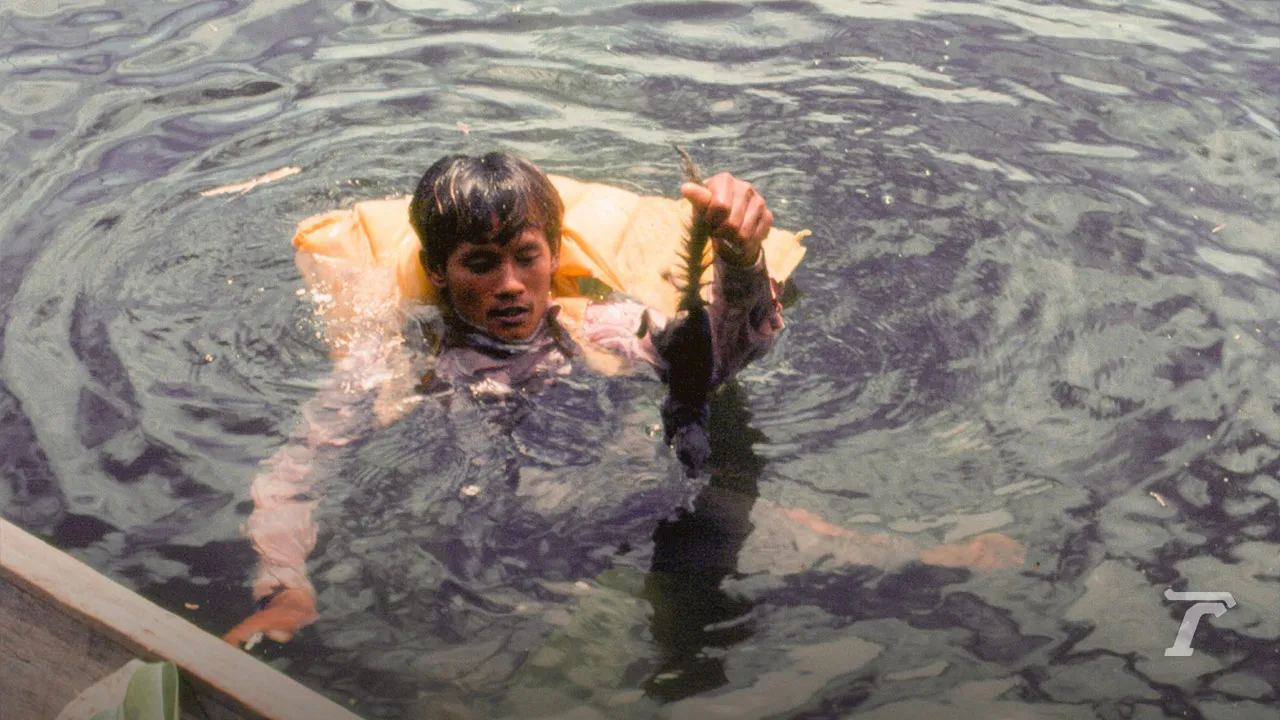 มองผ่านเลนส์ชีวิต สืบ นาคะเสถียร “ผมขอพูดในนามของสัตว์ป่า”
