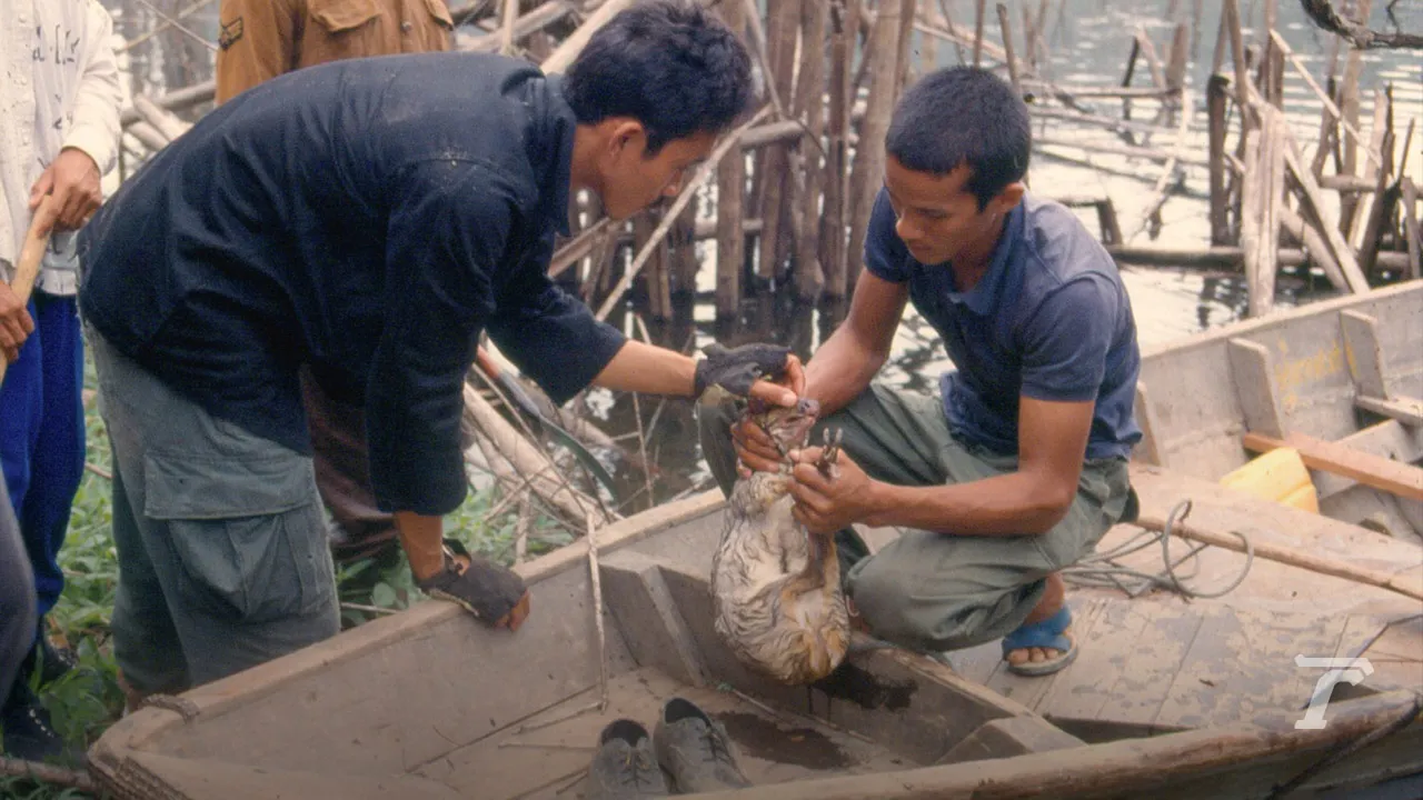 มองผ่านเลนส์ชีวิต สืบ นาคะเสถียร “ผมขอพูดในนามของสัตว์ป่า”
