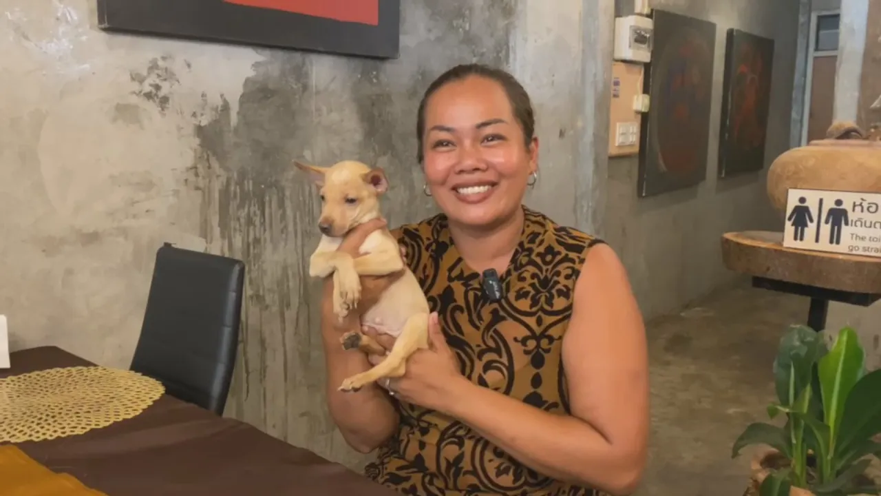 Thai woman and British husband save puppy in Isaan