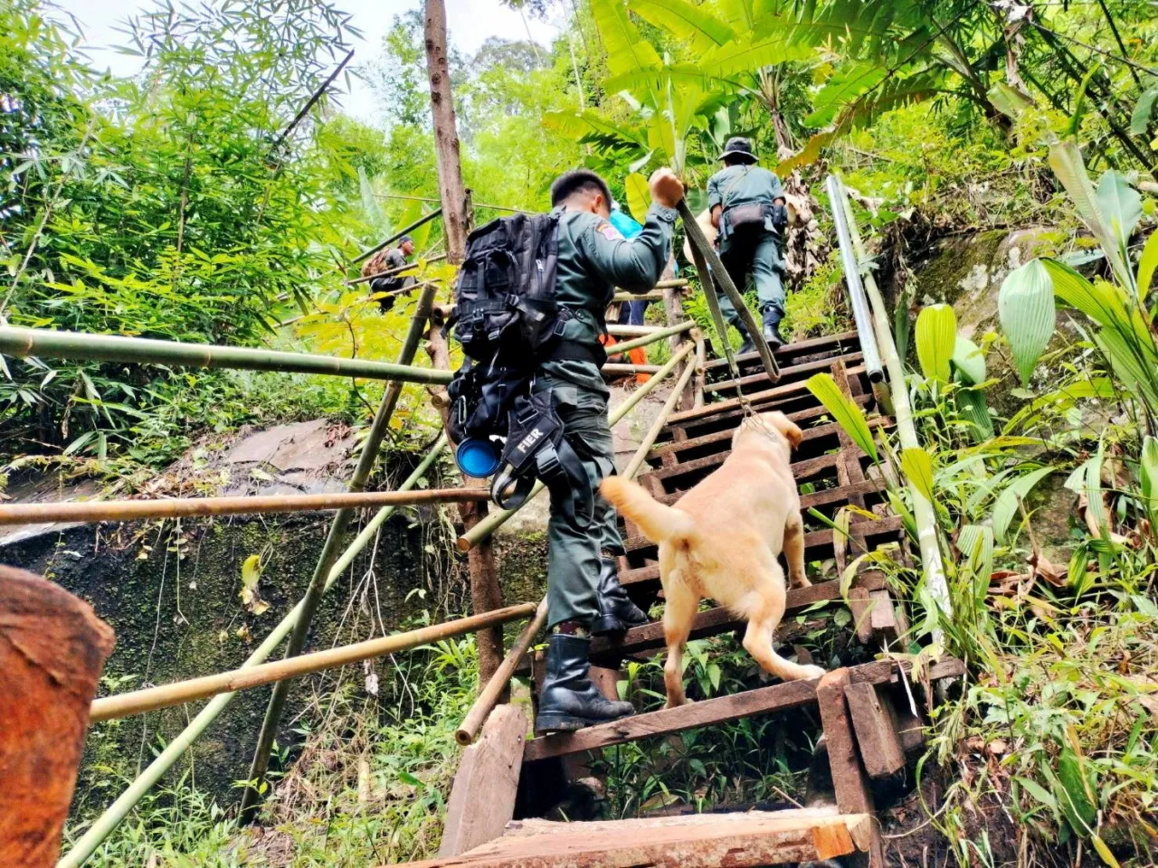 คำบอกเล่า หนุ่มหลงป่าภูสอยดาว หน.อุทยานฯ ชี้เป็นคนแรก งง หลงได้ไง?