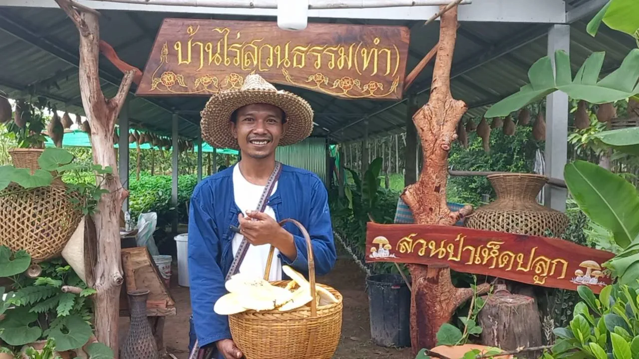 หนุ่มศรีสะเกษ ทำป่าที่บ้านเพาะเห็ดระโงกขาย สร้างรายได้เป็นแสนบาทต่อเดือน