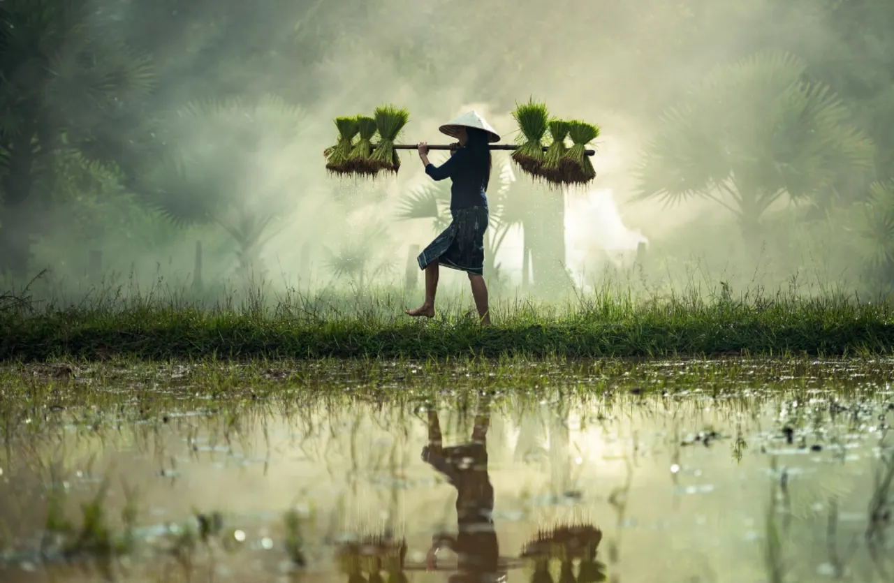 ขึ้นค่าแรง 400 ได้ไม่คุ้มเสีย เมื่อผลิตภาพแรงงานไทยยังสวนทาง