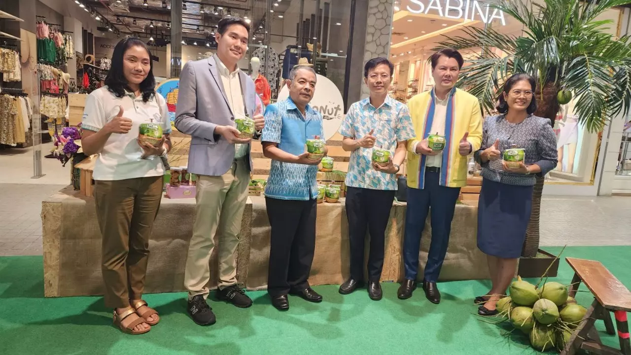 สมุทรสาคร พามะพร้าวน้ำหอมบ้านแพ้ว GI ขึ้นห้าง โปรโมตเพิ่มช่องทางขายให้ชาวสวน