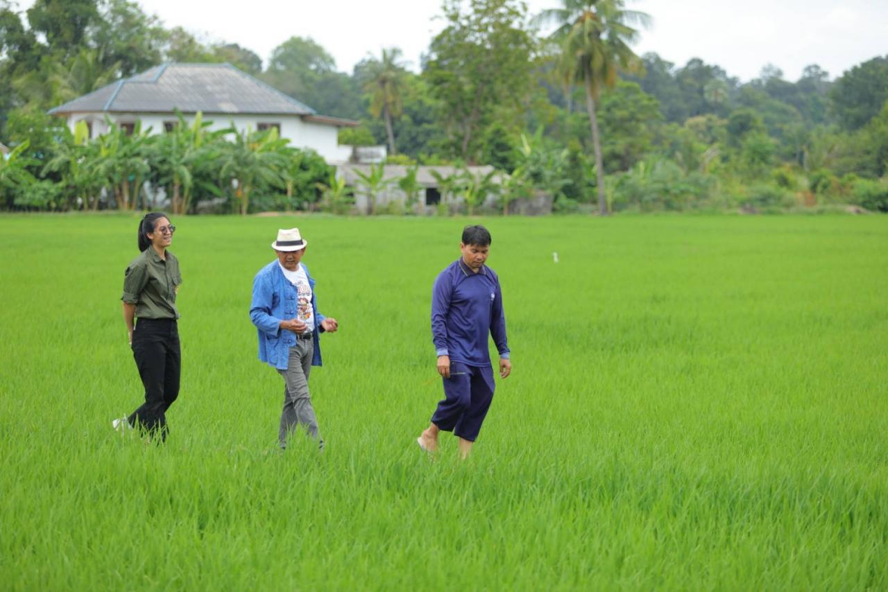 泰国稻米部：邀请农民更换水稻种子，提高世界市场的质量