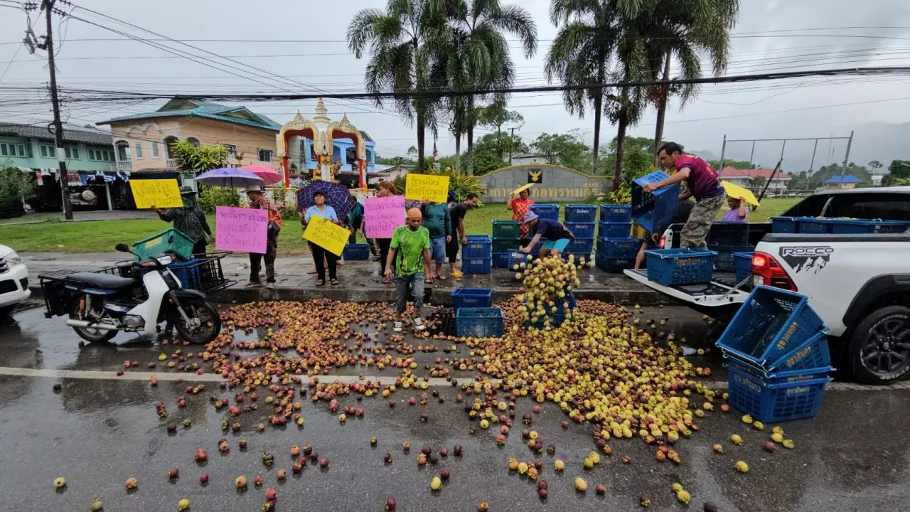ชาวสวนนครศรีฯ นำมังคุดนับตันเททิ้งหน้าอำเภอ สุดทนราคาร่วง กก.ละไม่ถึง 5 บาท