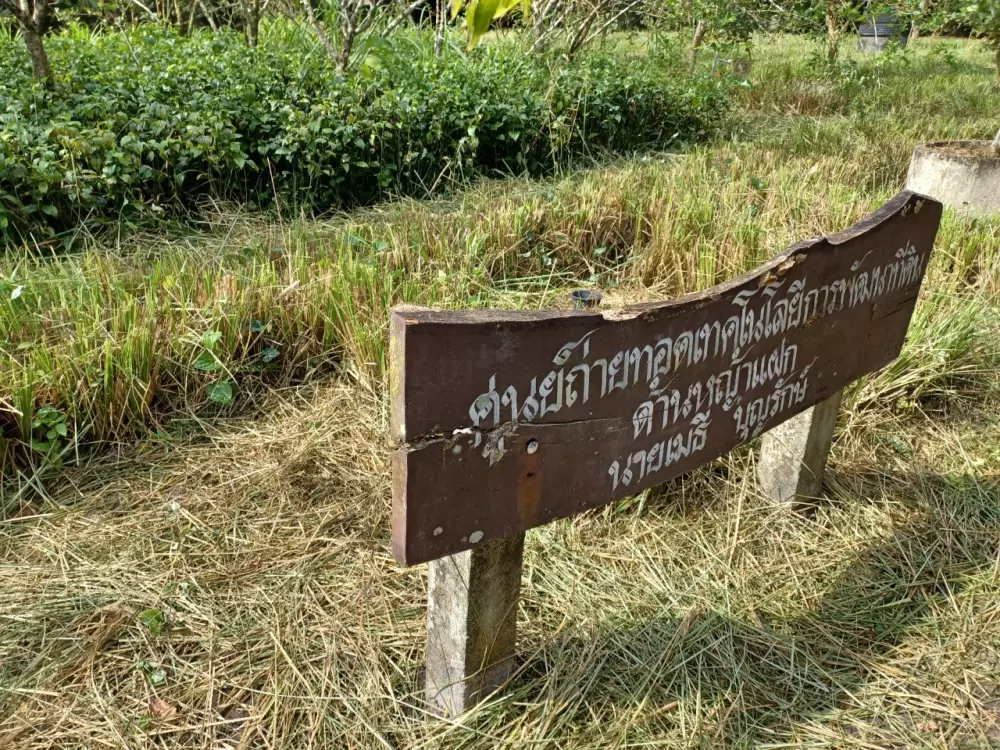 5 รูปแบบเกษตรยั่งยืน ปราชญ์ปลูก “ลองกอง” ขายได้ราคา 5 เท่า!  