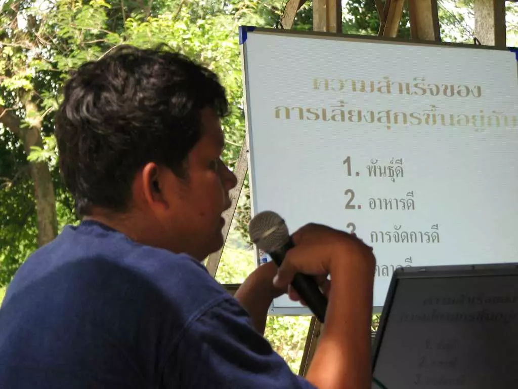 คุยปราชญ์เกษตร เลี้ยง “หมูหลุม” รสชาติแตกต่าง กับ ราคาขาย 2 เท่า
