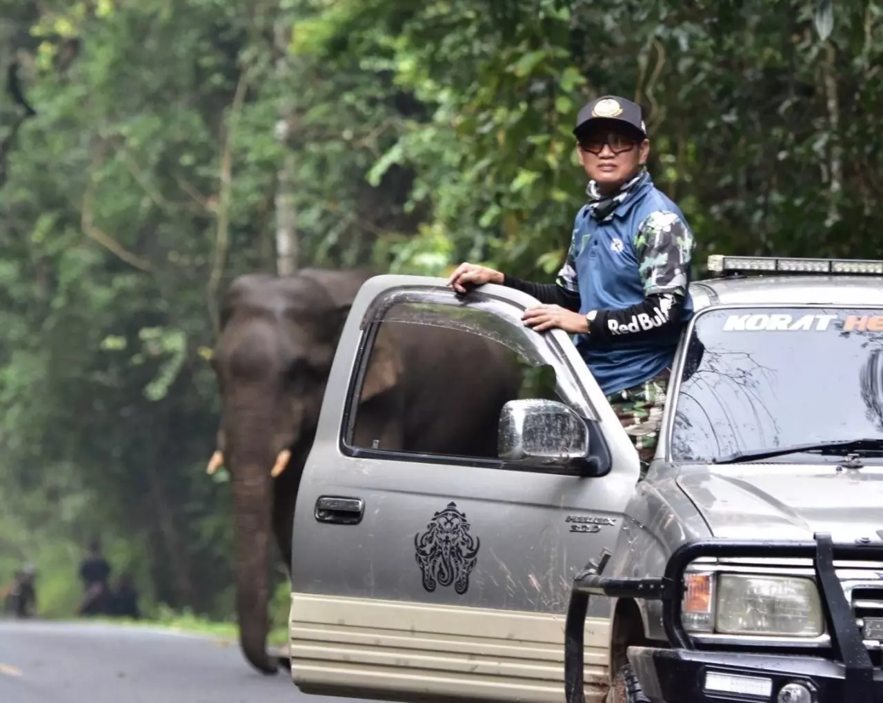 ช้างป่าเขาใหญ่ มองตาก็รู้ใจ ‘สุทธิพร สินค้า’ มิตรภาพปราบช้างด้วยมือเปล่า