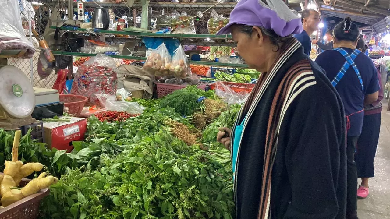 เช็กราคาผักตลาดโคราช อากาศหนาวทำผักแพง เพราะโตช้าเป็นโรคทำให้ผลผลิตออกน้อย