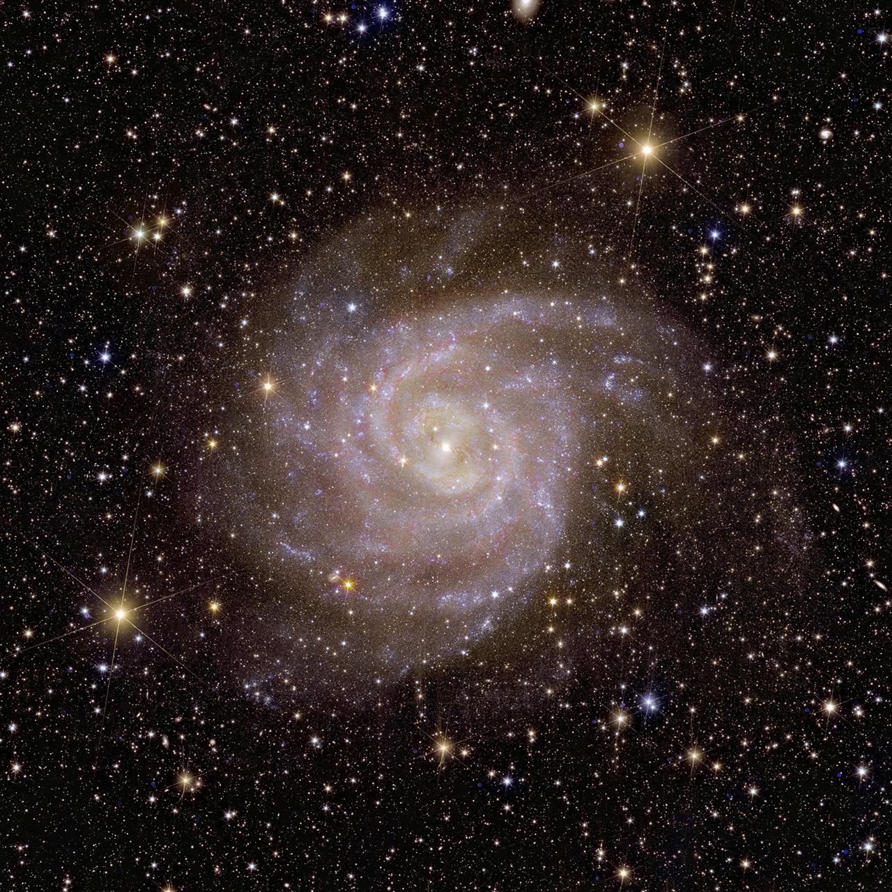 Hidden galaxy IC 342