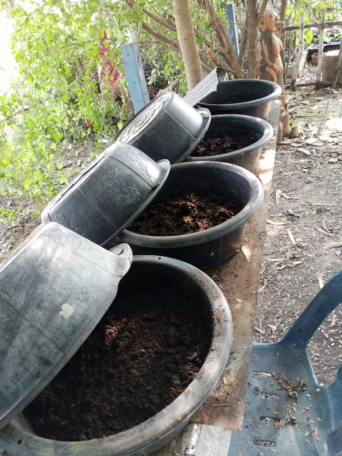หนุ่มกรุงทำเกษตร 0 บาท เนื้อที่ 2 งาน คนมองอนาถา หารู้ไม่โคตรมีความสุข!