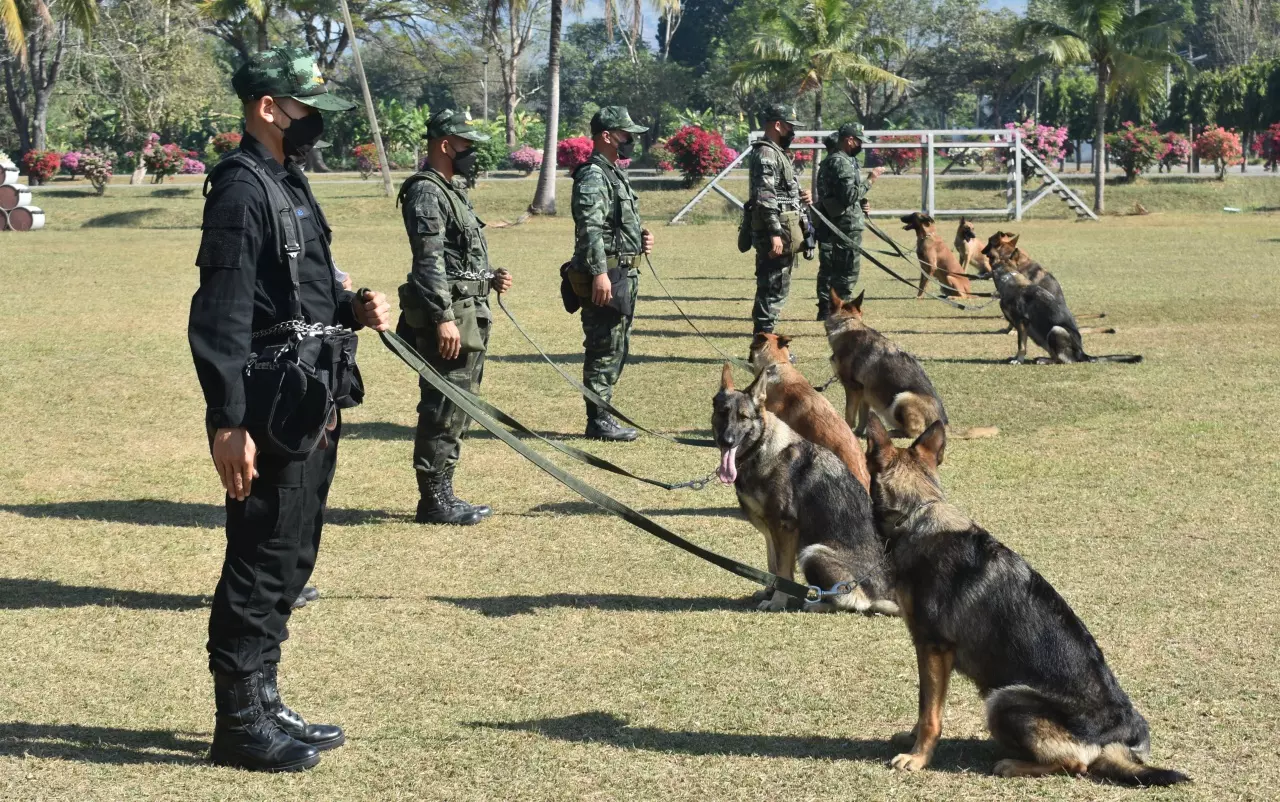 เปิดเหตุผล ทำไมต้องประมูลสุนัขทหาร ไม่ผ่านเกณฑ์ฝึกหลักสูตร ต้องหาบ้านใหม่ให้