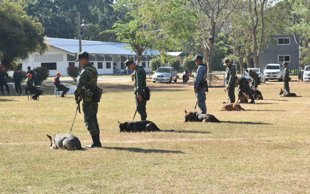 เปิดเหตุผล ทำไมต้องประมูลสุนัขทหาร ไม่ผ่านเกณฑ์ฝึกหลักสูตร ต้องหาบ้านใหม่ให้