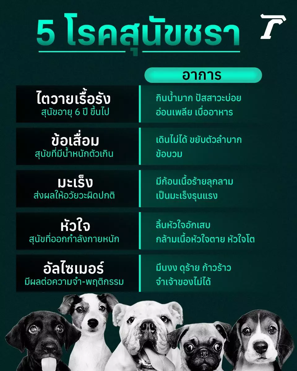 หมอเคลียร์ดราม่าหมารัก ขวัญ-อุษามณี ป่วยต้องป้อนน้ำทุก 5 นาที