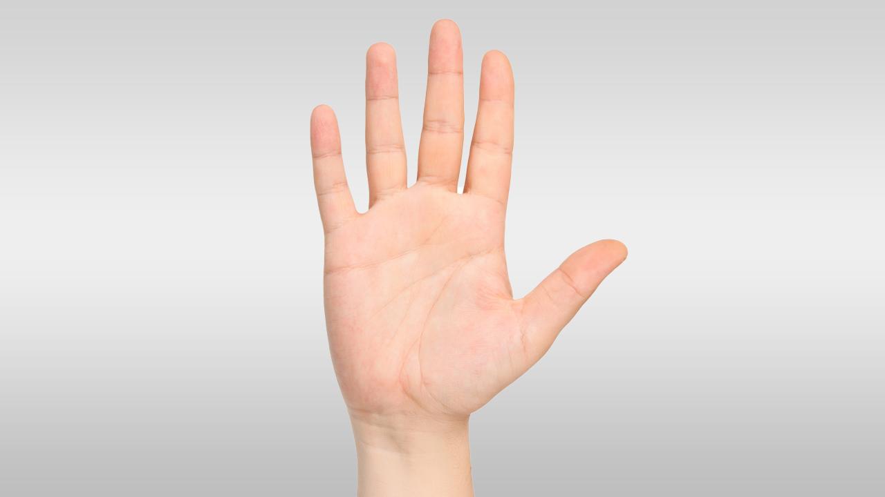 .หมอลักษณ์ ฉะโหรยุคใหม่ อุตริ สักลายมือเสริมดวง ชี้นานเข้าจะกลายเป็นอัปมงคล.