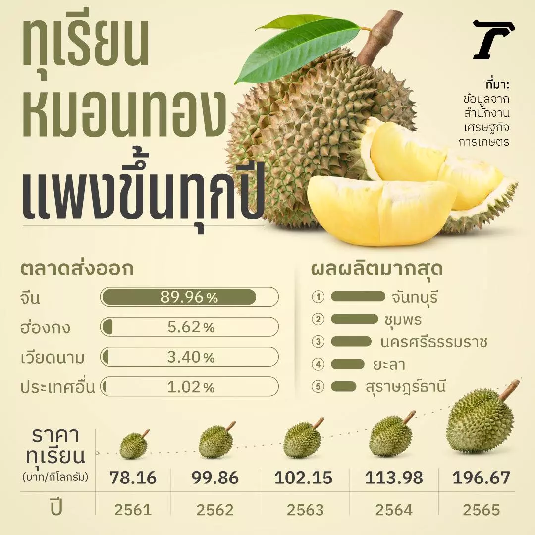 ทุเรียนหมอนทองโดดเด่นเรื่องรสชาติ ทำไมคนไทย ต้องจ่ายแพงขึ้นทุกปี
