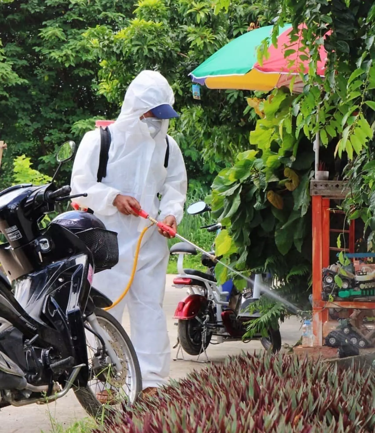 ขนลุกซู่ "ฝูงกิ้งกือ" นับหมื่นตัวบุกบ้าน ไต่กันยั้วเยี้ย หลังฝนตกต่อเนื่อง