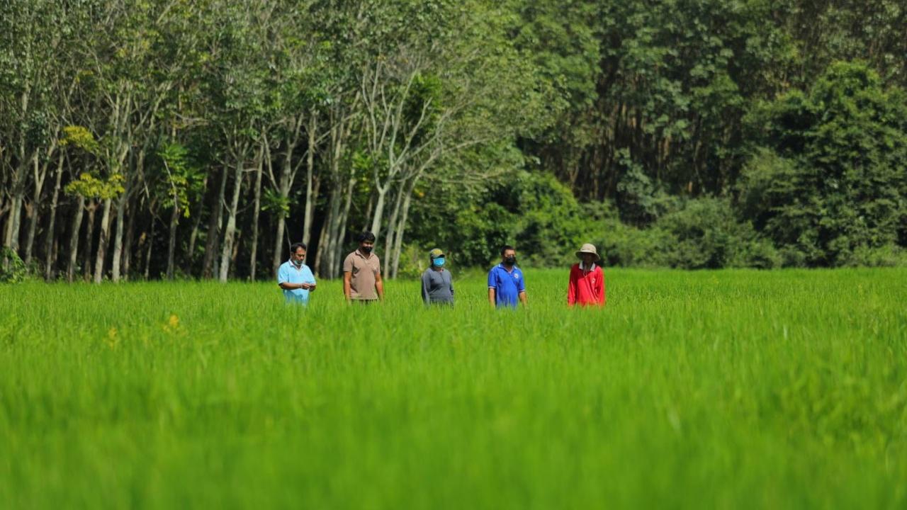 กรมข้าวติว Smart Farmer ส่งต่อความรู้เพื่อนเกษตรกร สร้างงาน สร้างอาชีพ