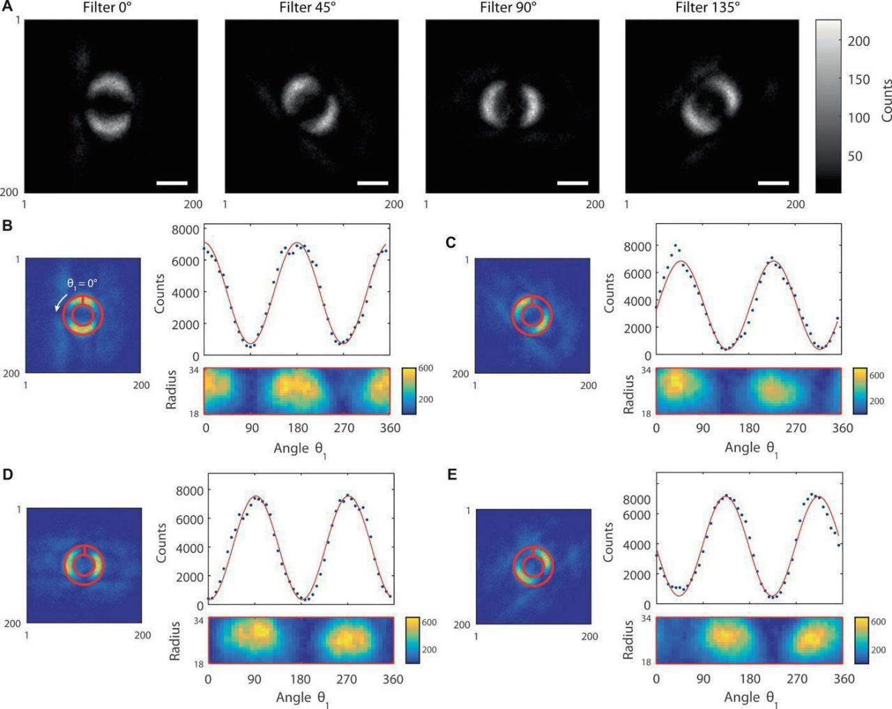 Catch Einstein's Ghost  to the Nobel Prize and the technology of 