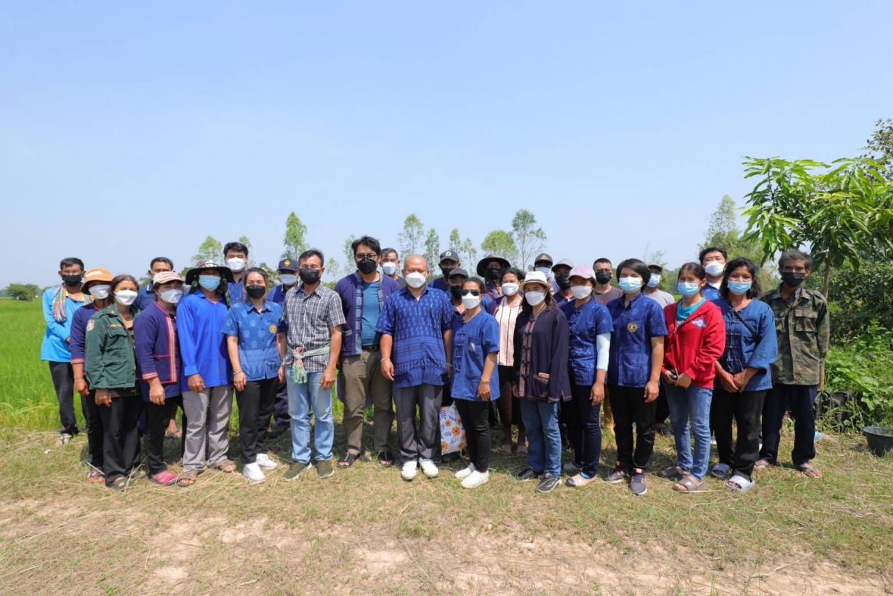 เกษตรกรเฮ ขายเมล็ดพันธุ์ข้าวคุณภาพให้ศูนย์ฯ อำนาจเจริญ สร้างรายได้งาม
