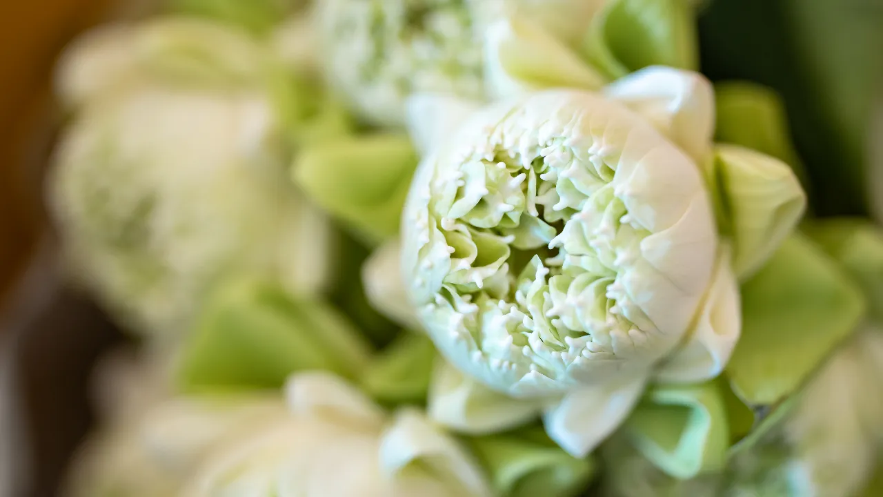 .ปฏิทินวันพระเดือนกันยายน 2567 มีวันไหนบ้าง เตรียมทำบุญเสริมบารมี.