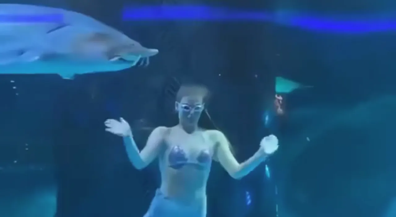 นักท่องเที่ยวสุดช็อก ปลายักษ์งับหัวนักแสดงเงือกสาวที่จีน (คลิป)