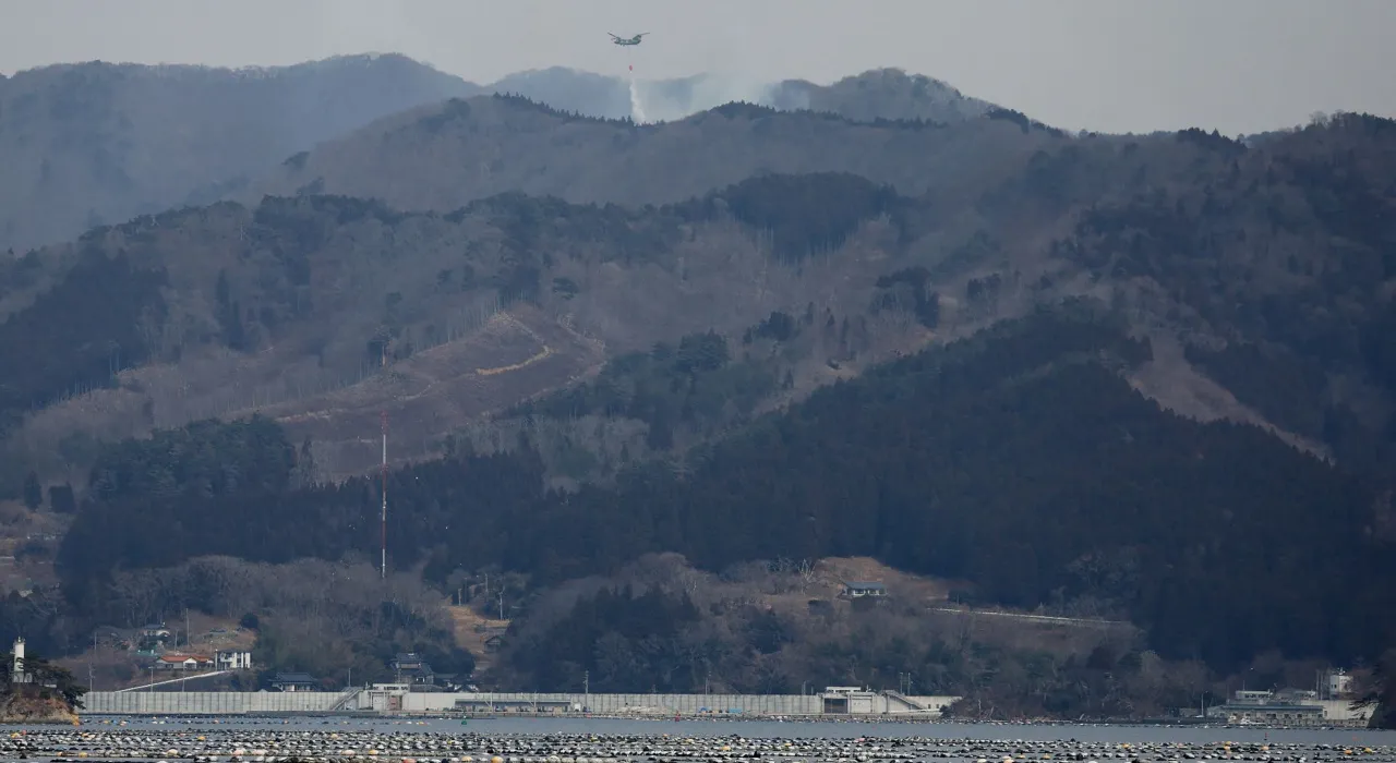 ญี่ปุ่นเร่งสกัดไฟป่าครั้งใหญ่ที่สุดในรอบหลายทศวรรษ