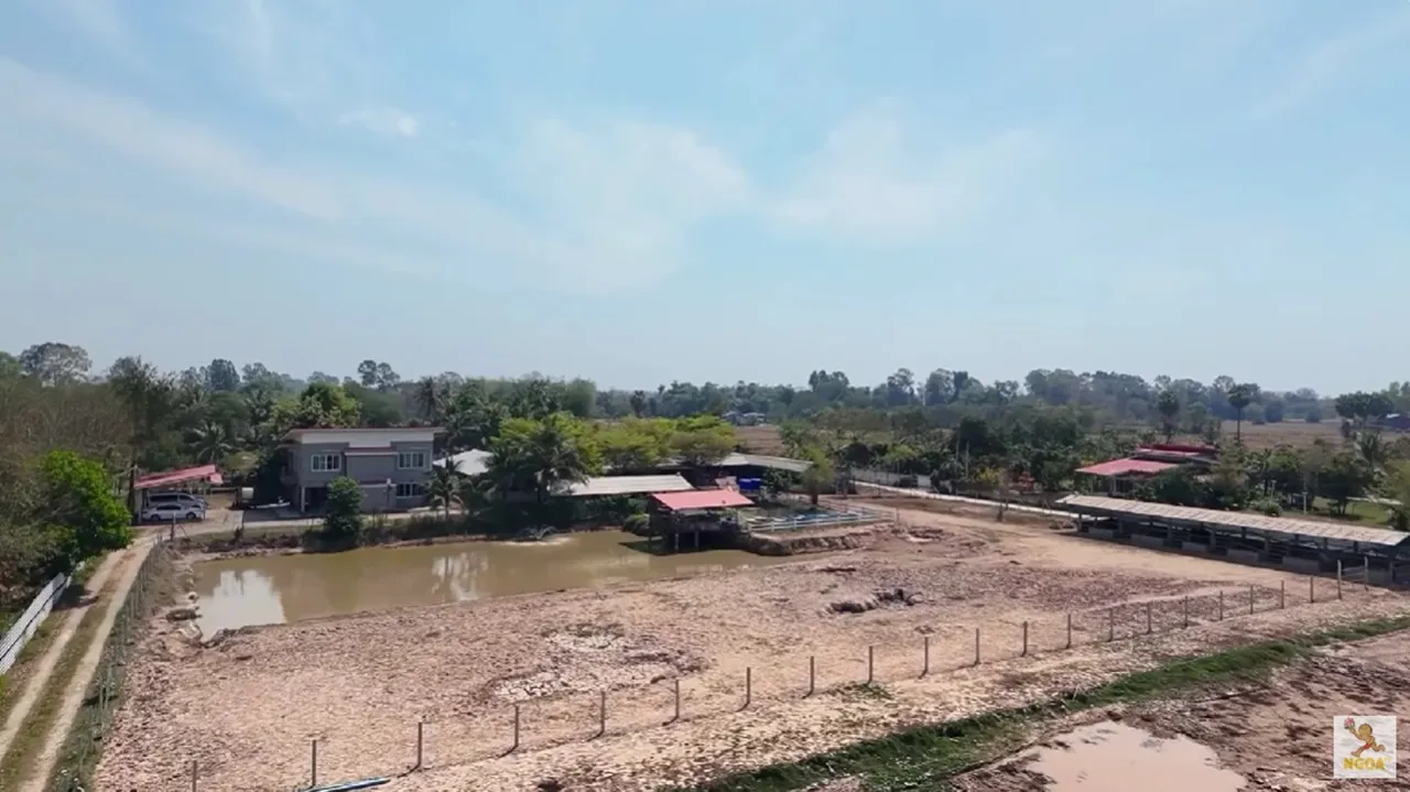 เปิดอาณาจักร น้ำ รพีภัทร ทำฟาร์มไก่ชน เผยเคยเดิมพันแข่งสูงสุด 70 ล้าน